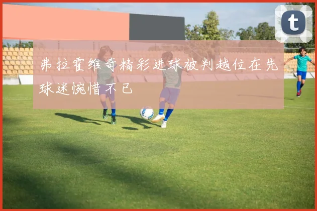 弗拉霍维奇精彩进球被判越位在先球迷惋惜不已